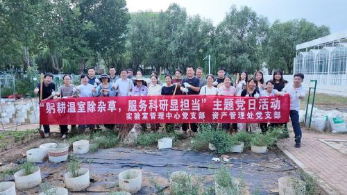 88858cc永利官网管理中心、资产管理处党支部联合开展  “躬耕温室除杂草，服务科研显担当” 主题党日活动